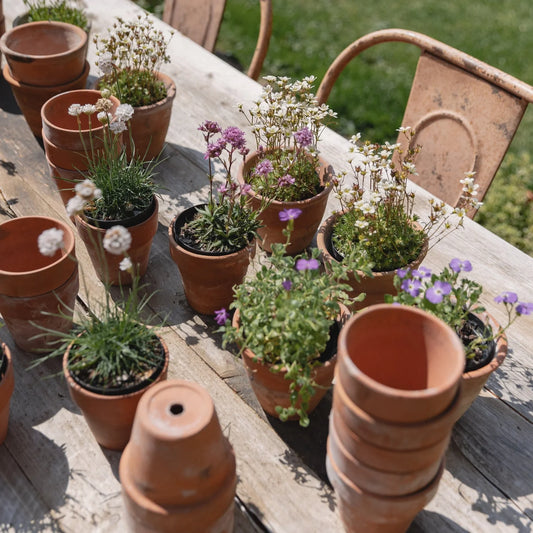 Old Terracotta Garden Pots