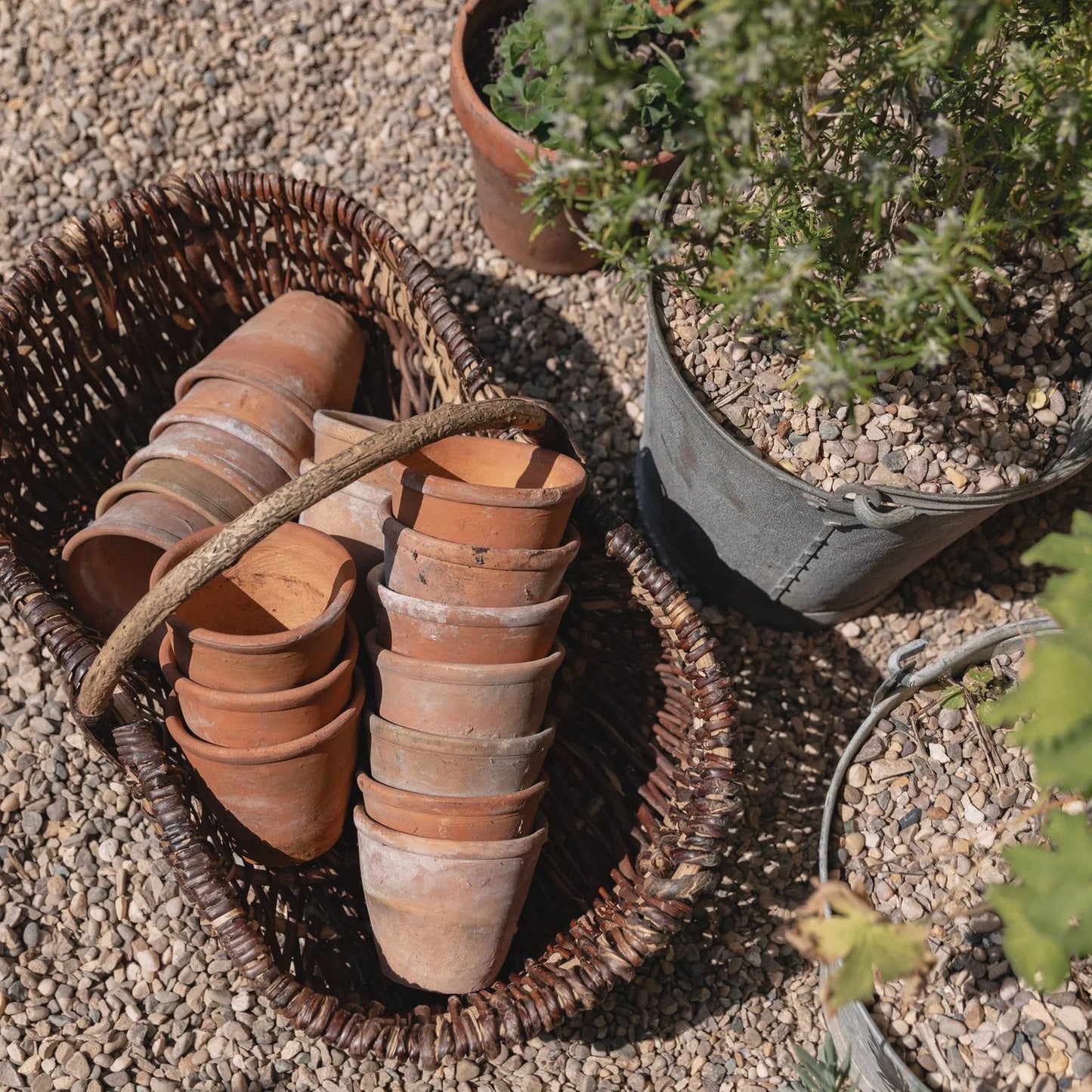 Old Terracotta Garden Pots