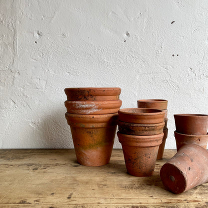 Old Terracotta Garden Pots