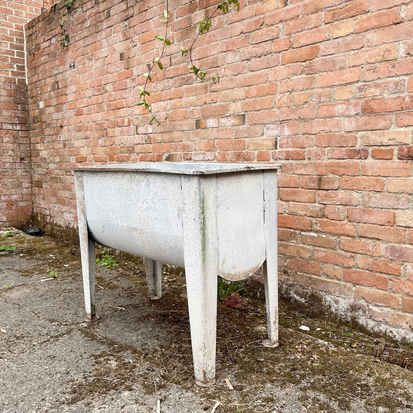 Vintage Galvanised Iron Planter - #1695