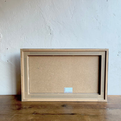 Framed Fossil Fish - #1882