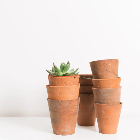 Old Terracotta Garden Pots